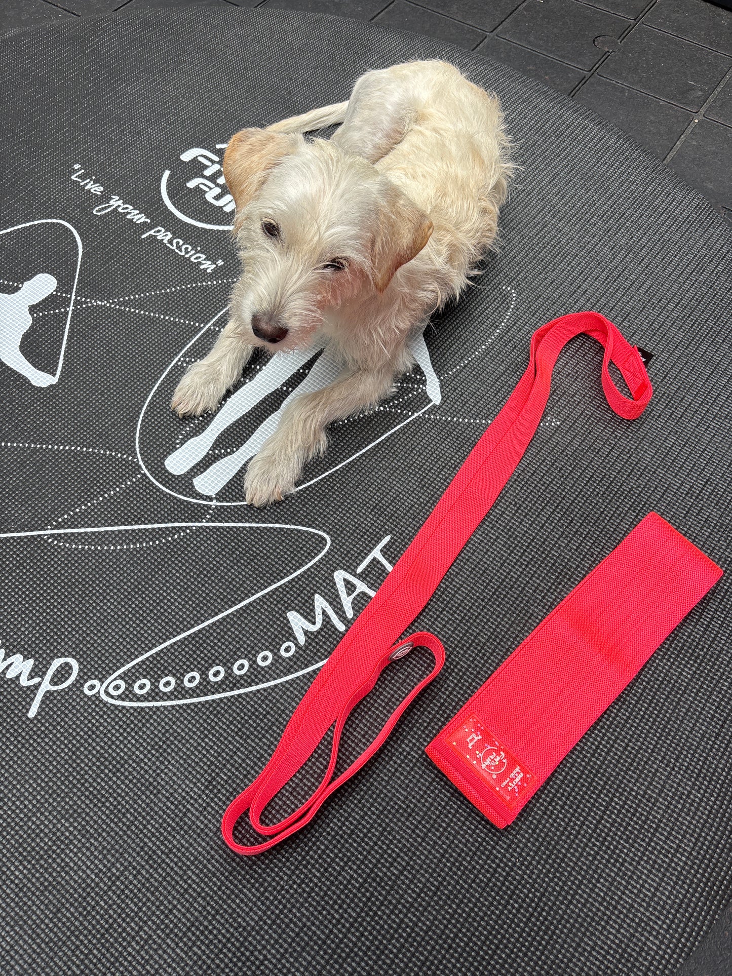 Dúo Bandas elásticas de resistencia | banda larga de poder ejercicios|