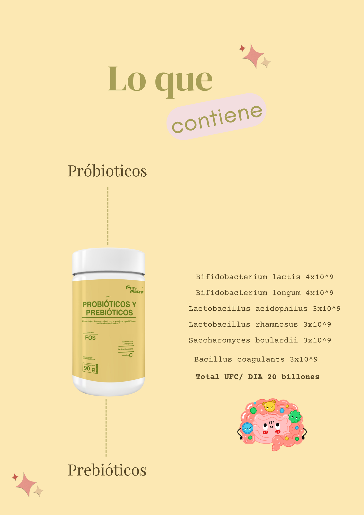 Probióticos y Probióticos masticables • Vitamina C • Lactobacillus